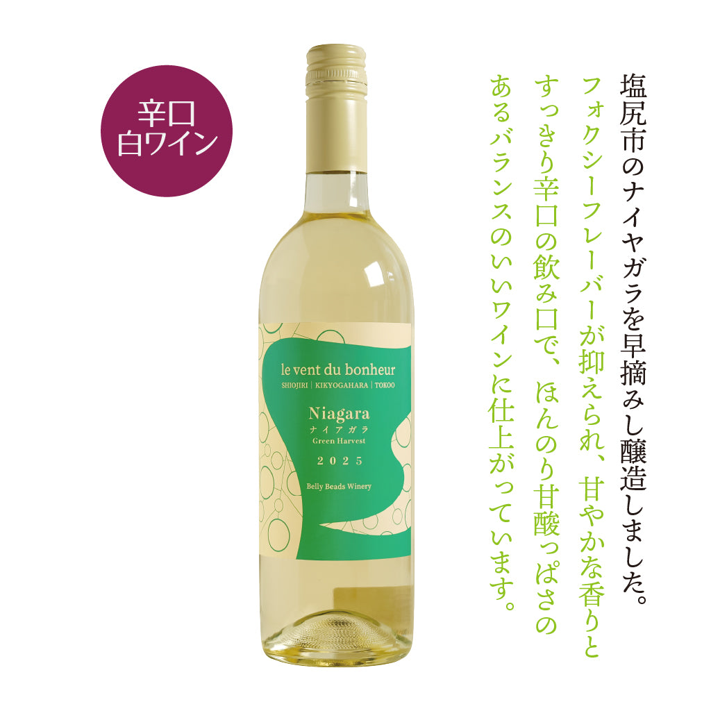 ワイン空樽2025-1　15L ルヴァン デュ ボヌール ナイアガラ 2025 -le vent du bonheur Niagara